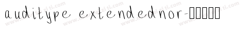auditype extendednor字体转换